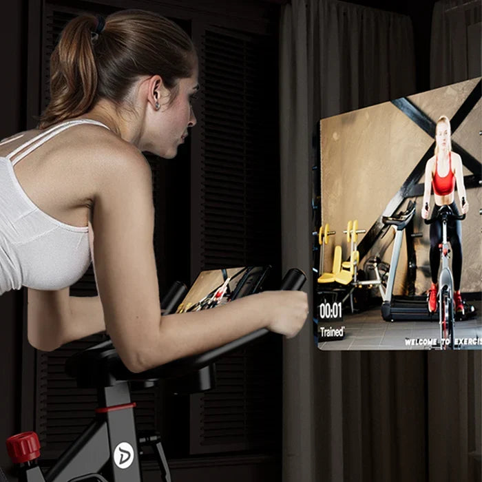 DeerRun S500 Pro King Size Indoor Exercise Bike for Tall Riders 32 Magnetic Adjustable Resistance, LED Screen